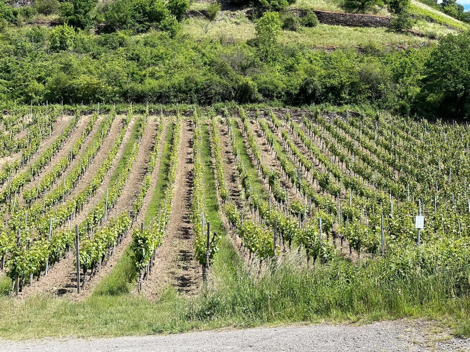 Weingut Otto Knaup
