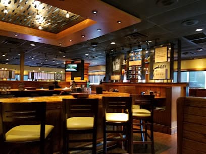 Outback Steakhouse