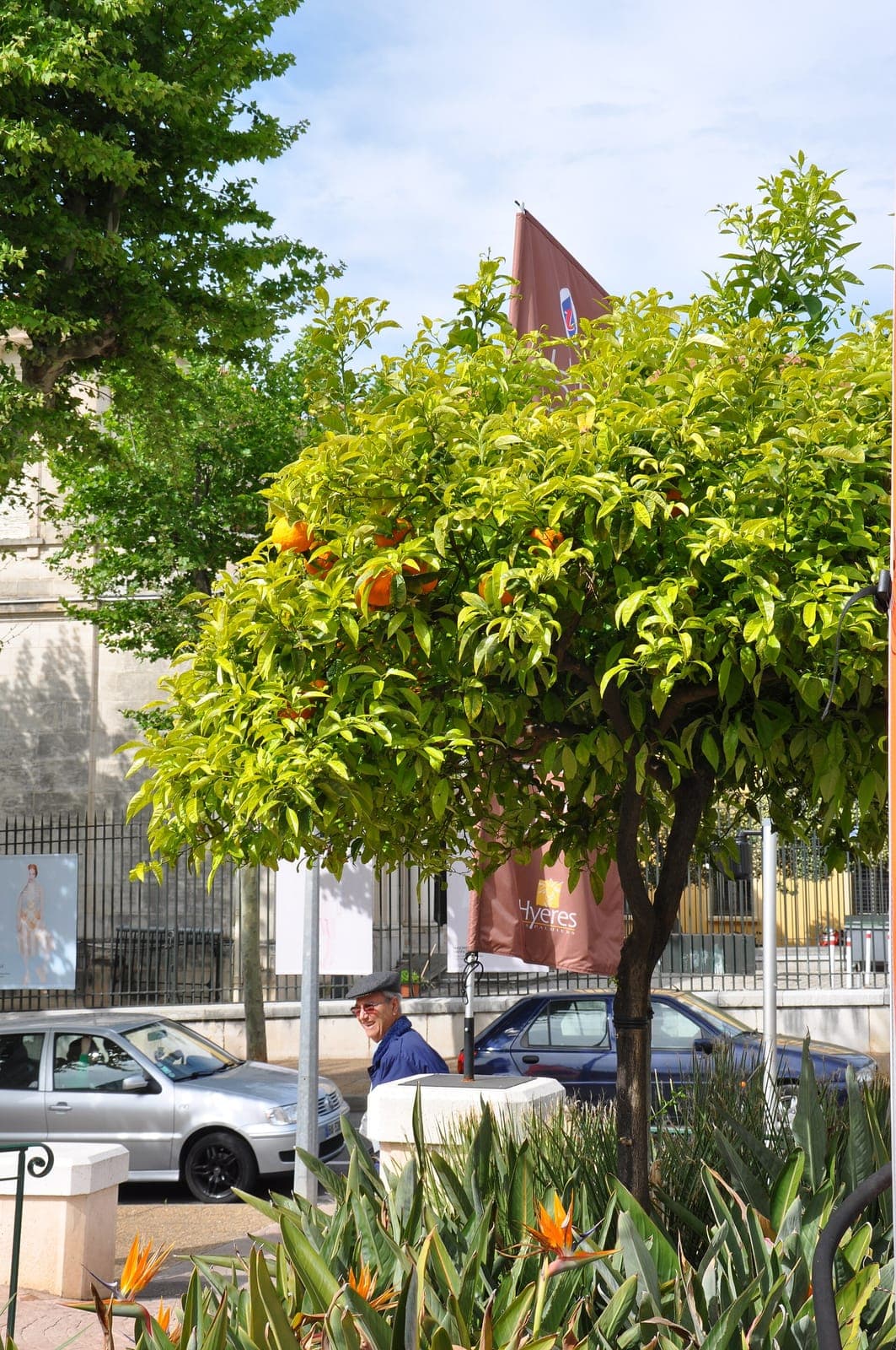 Maison Sarroche photo 3