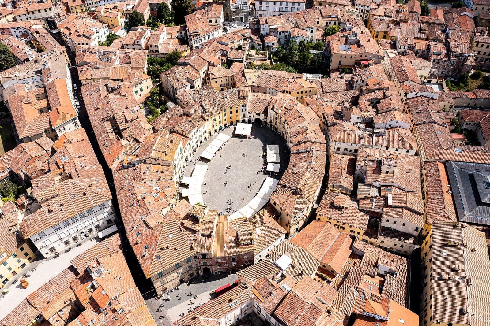 L'Oste di Lucca photo 2