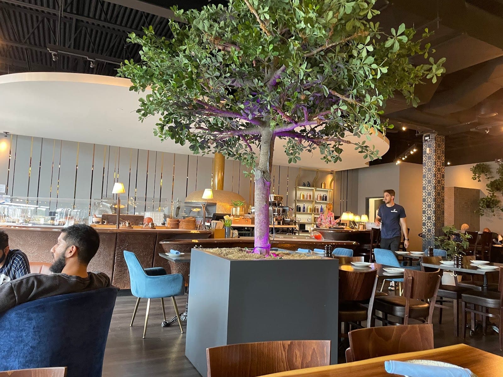 Blue Fig Garden