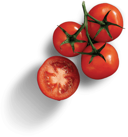 Chilli Pizza