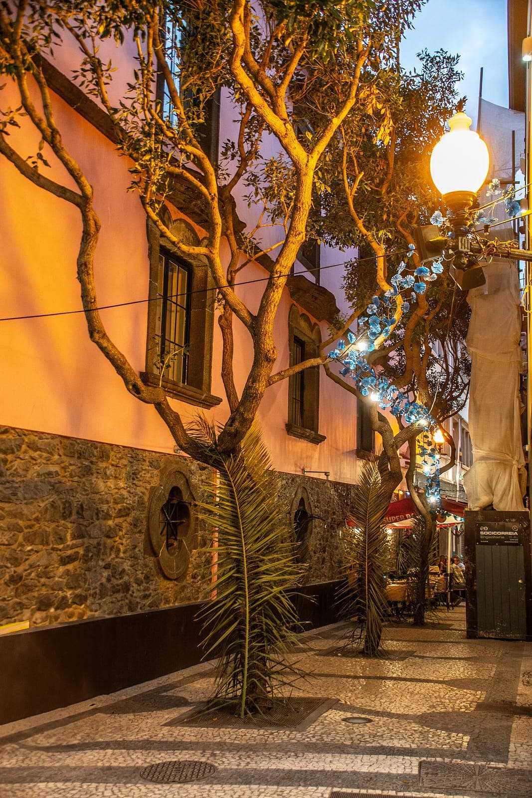 Funchal photo 5