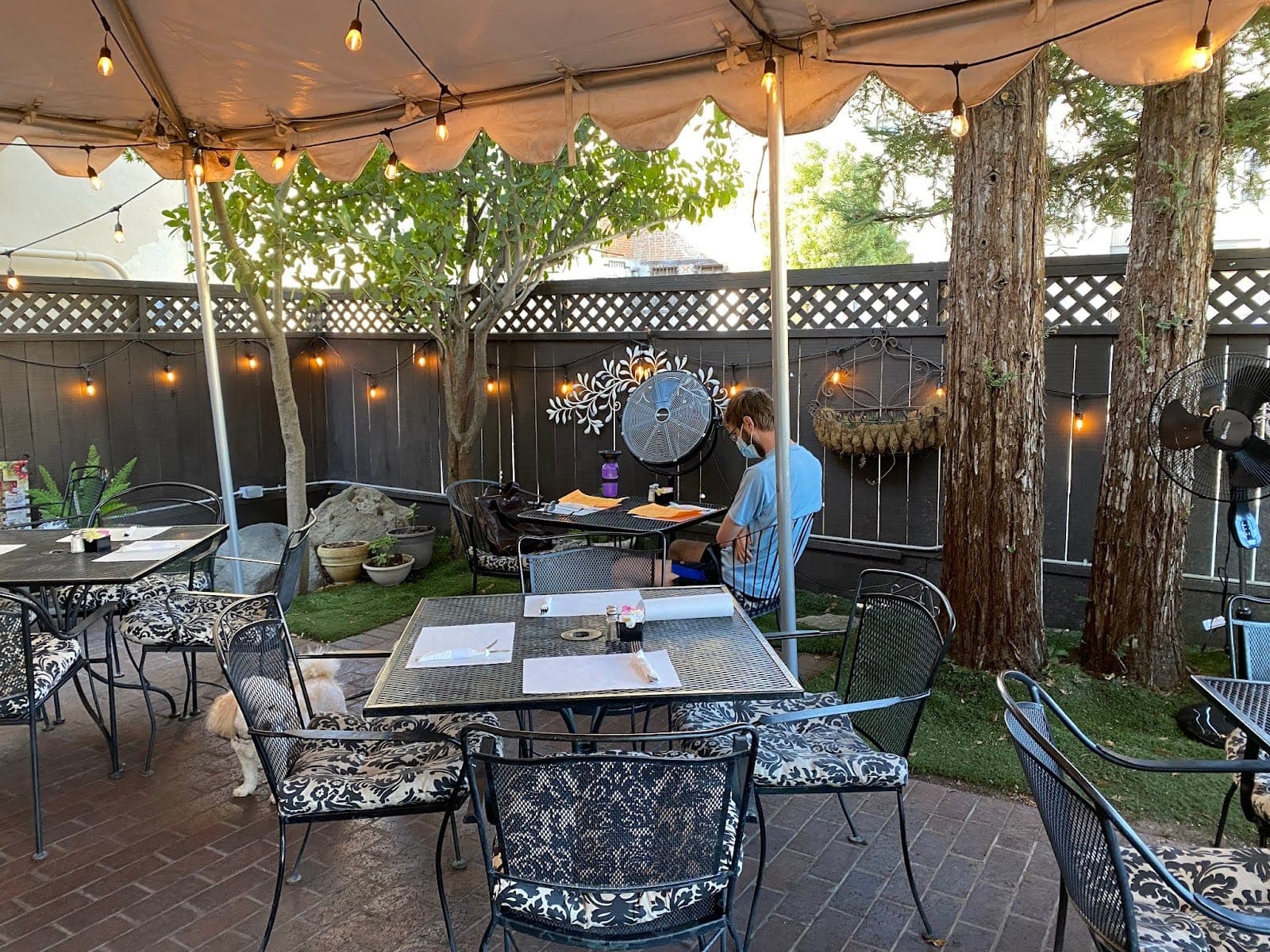 Toni’s Courtyard Café & Bakery