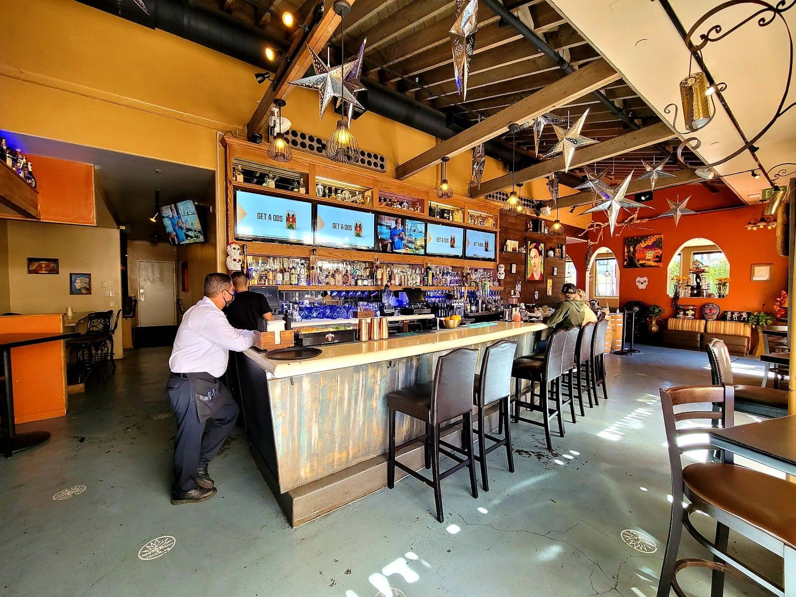 Blue Agave