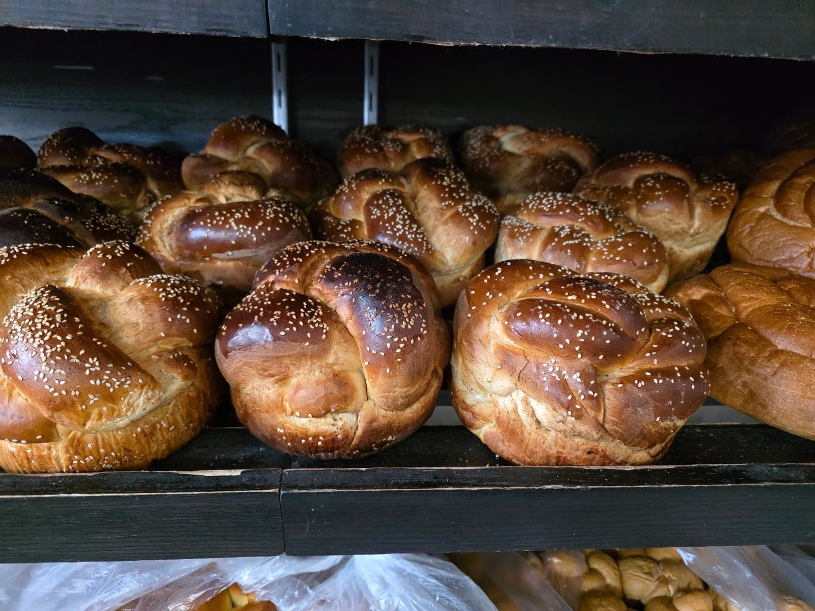 Albany Bakery