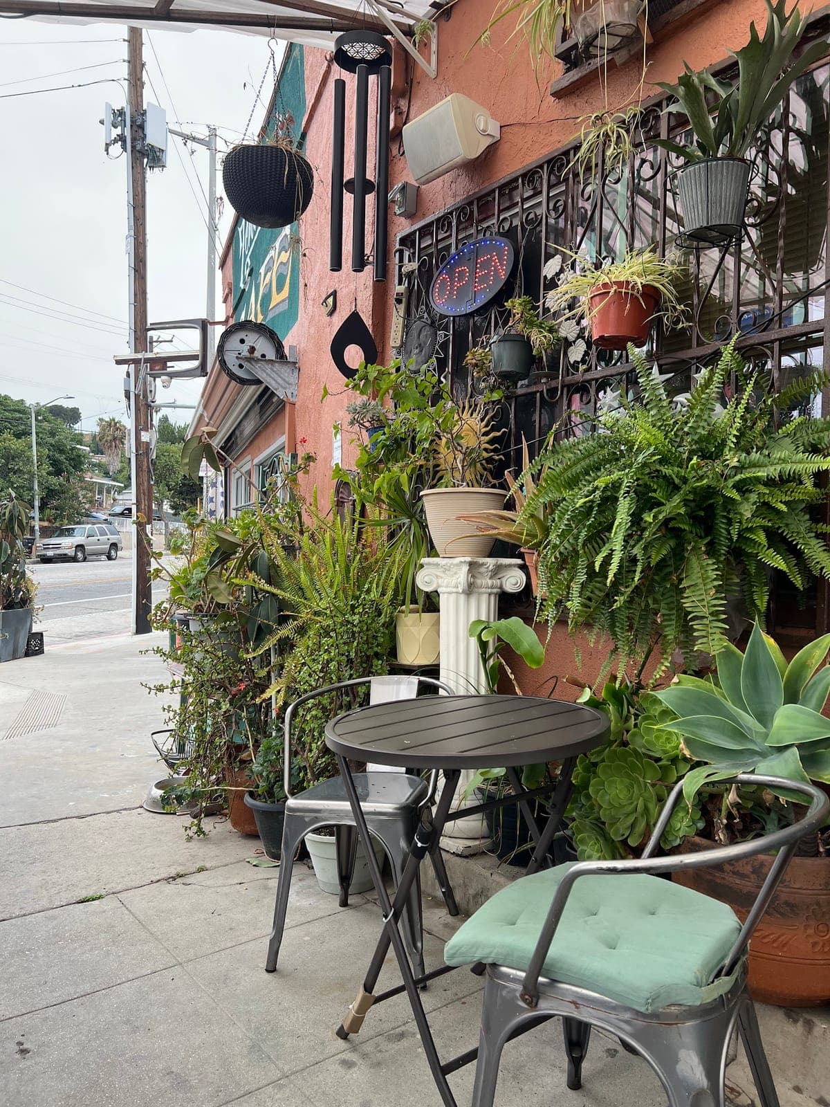Zenaida's café
