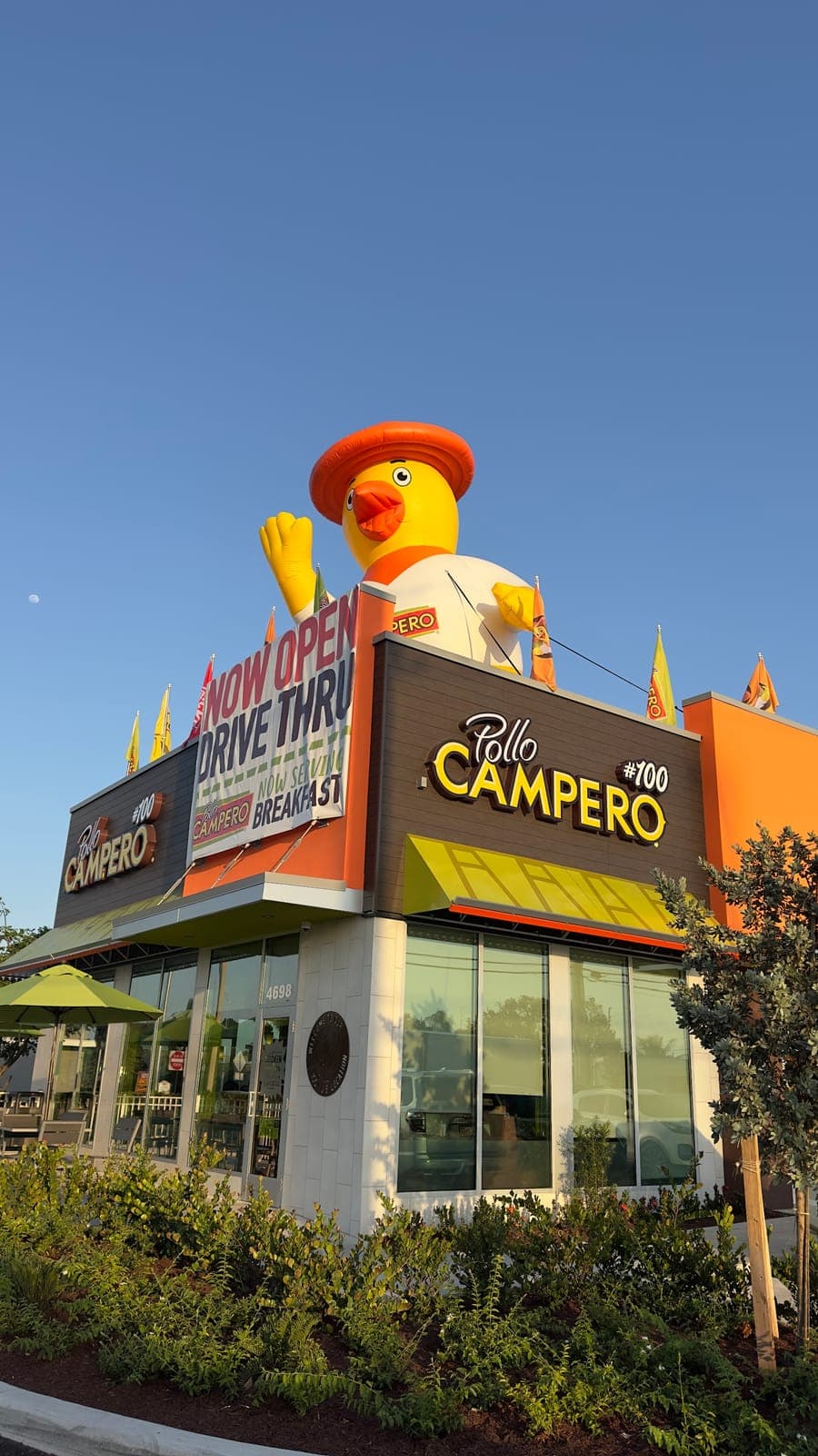 Pollo Campero