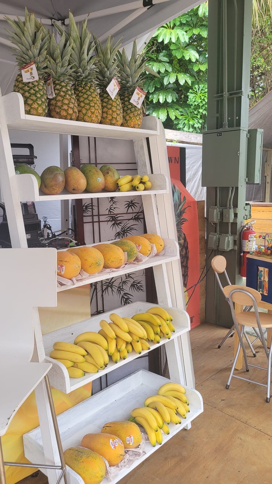 Splashy Fruits & Café