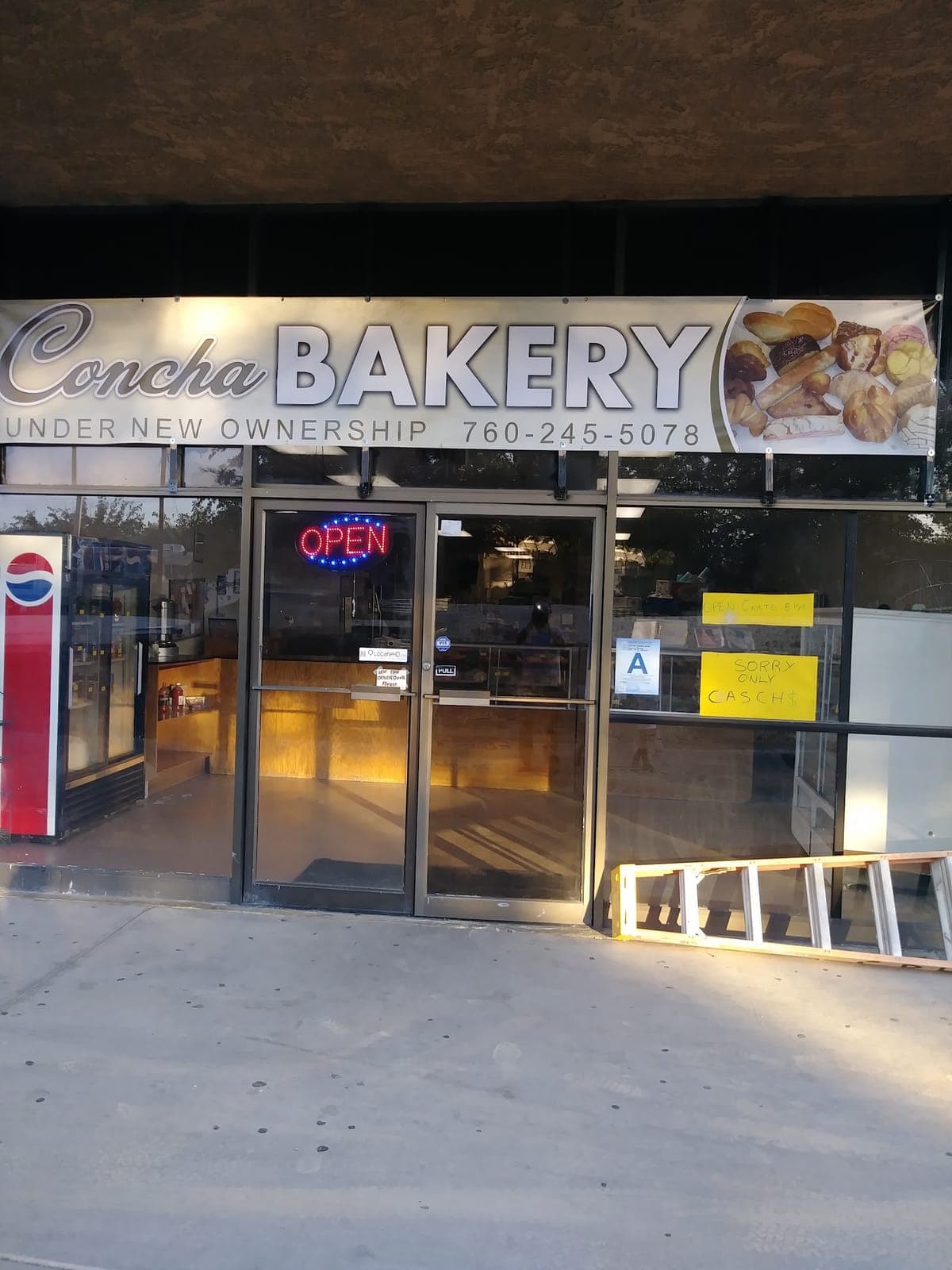 Concha bakery
