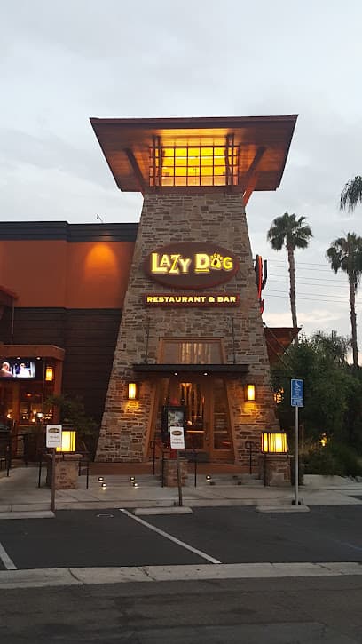 Lazy Dog Restaurant & Bar