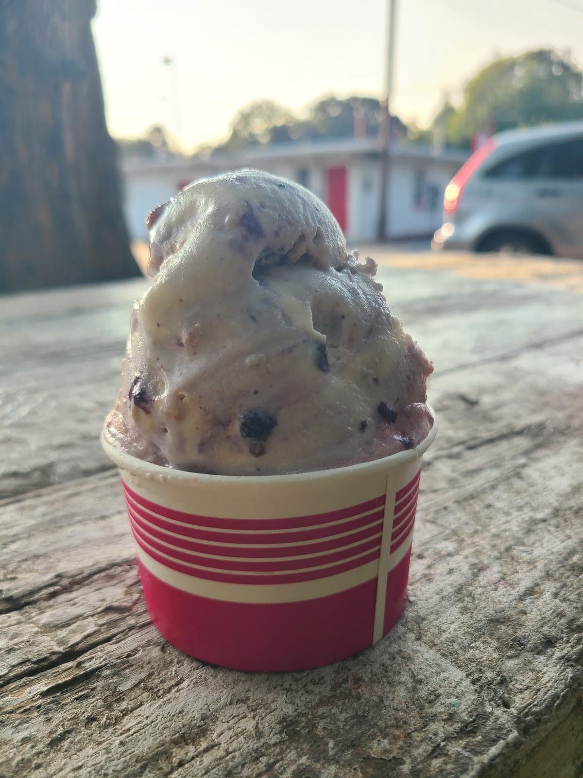 Terry's Custard