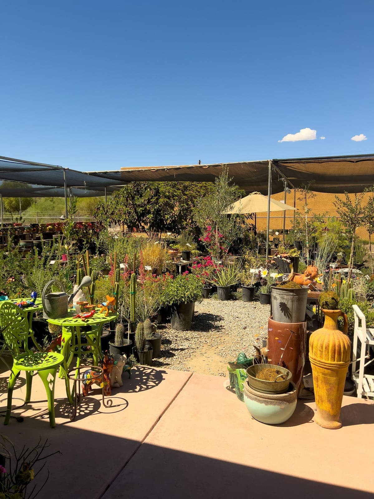 Sunset Nursery