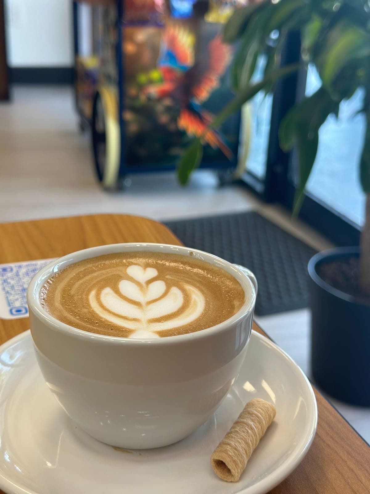 Tepuy Cafe - Scratch Kitchen | PARRILLA | EMPANADAS | CACHAPAS | SANCOCHOS