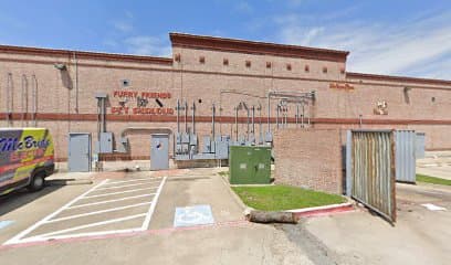 Chilito Limon Little Elm