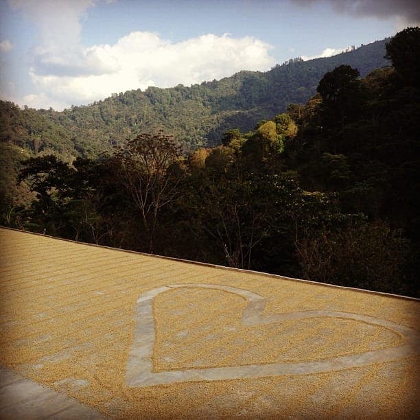 Indigo Coffee Roasters Inc photo 1