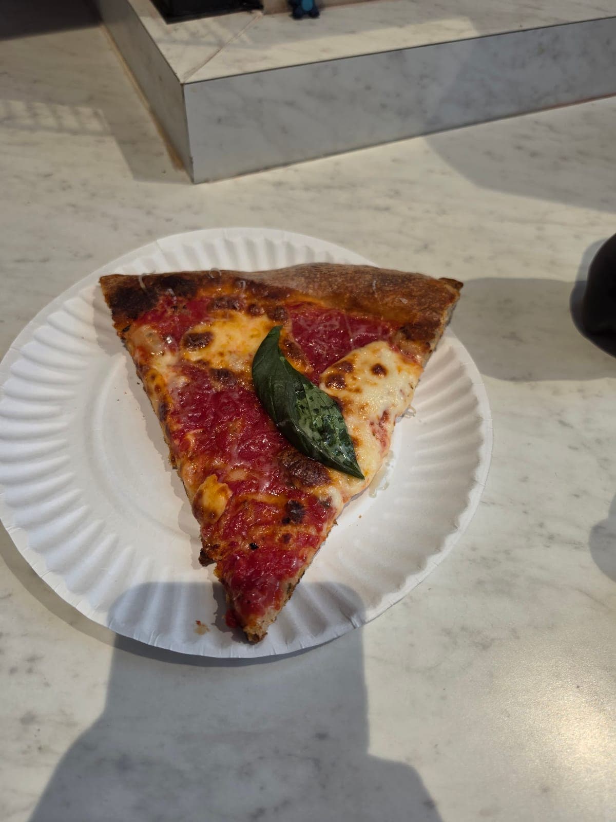 Angelo's Pizzeria (22 Wolf Street)