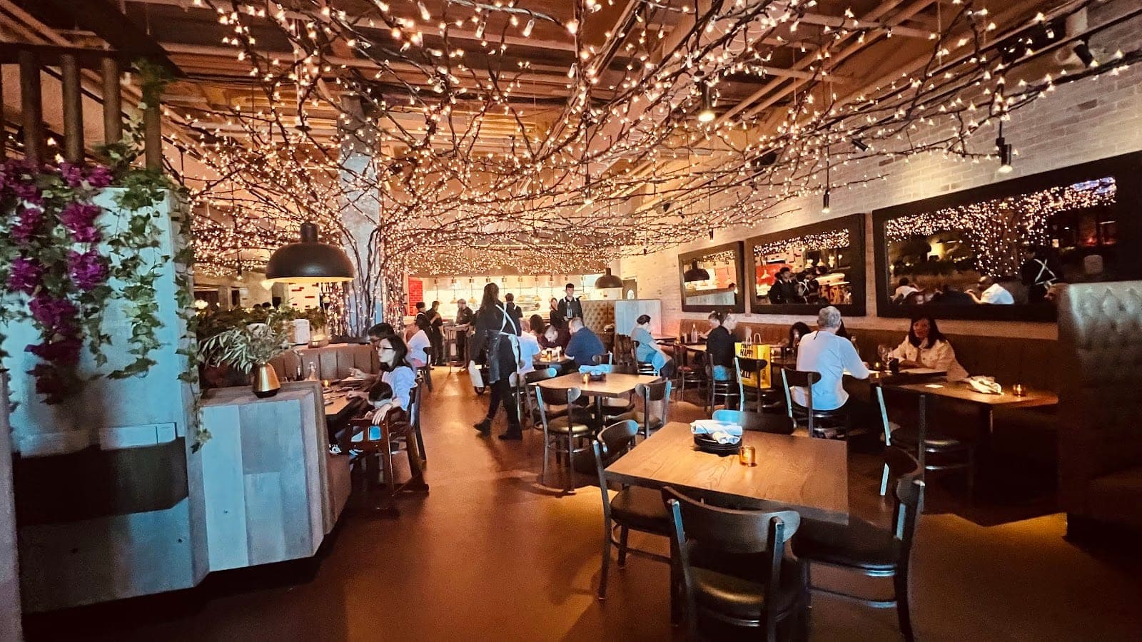Bar Siena North Shore