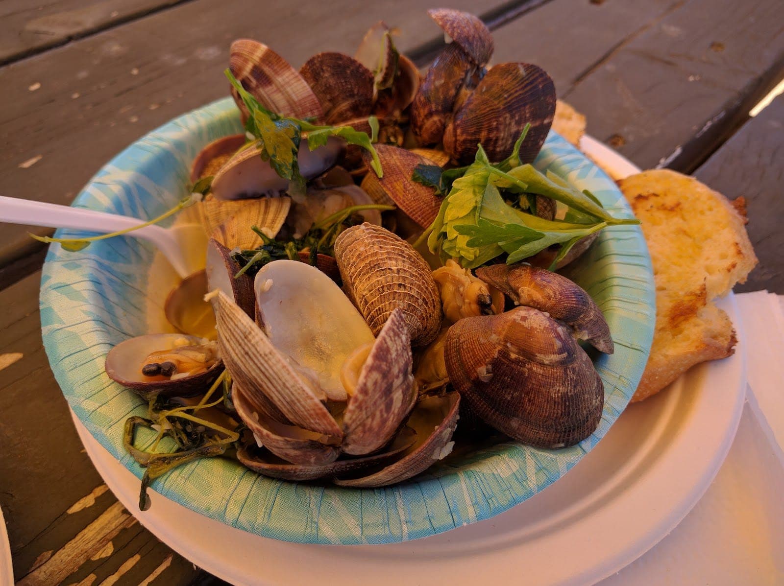 The Jolly Oyster Ventura