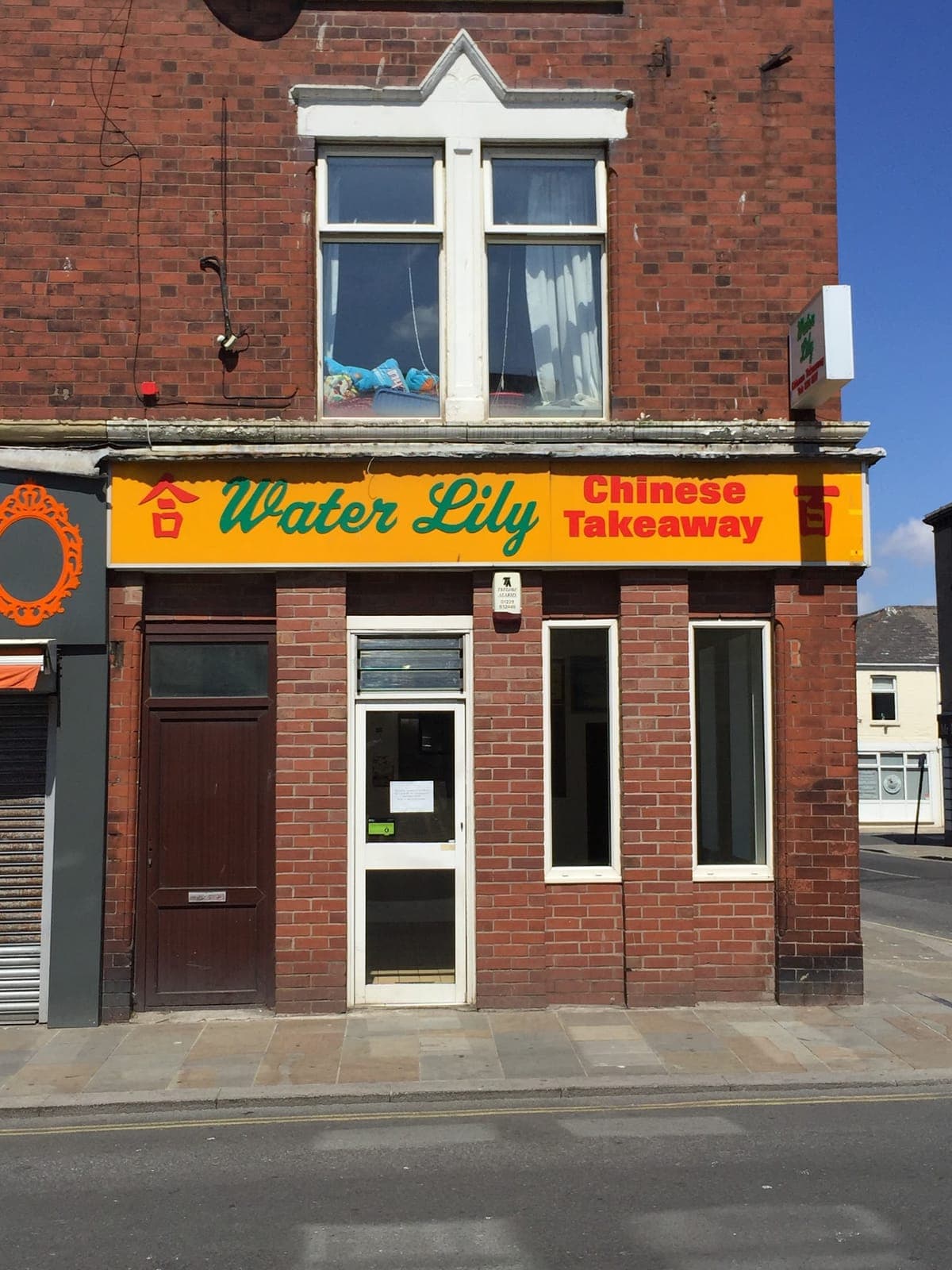 Water Lily Takeaway