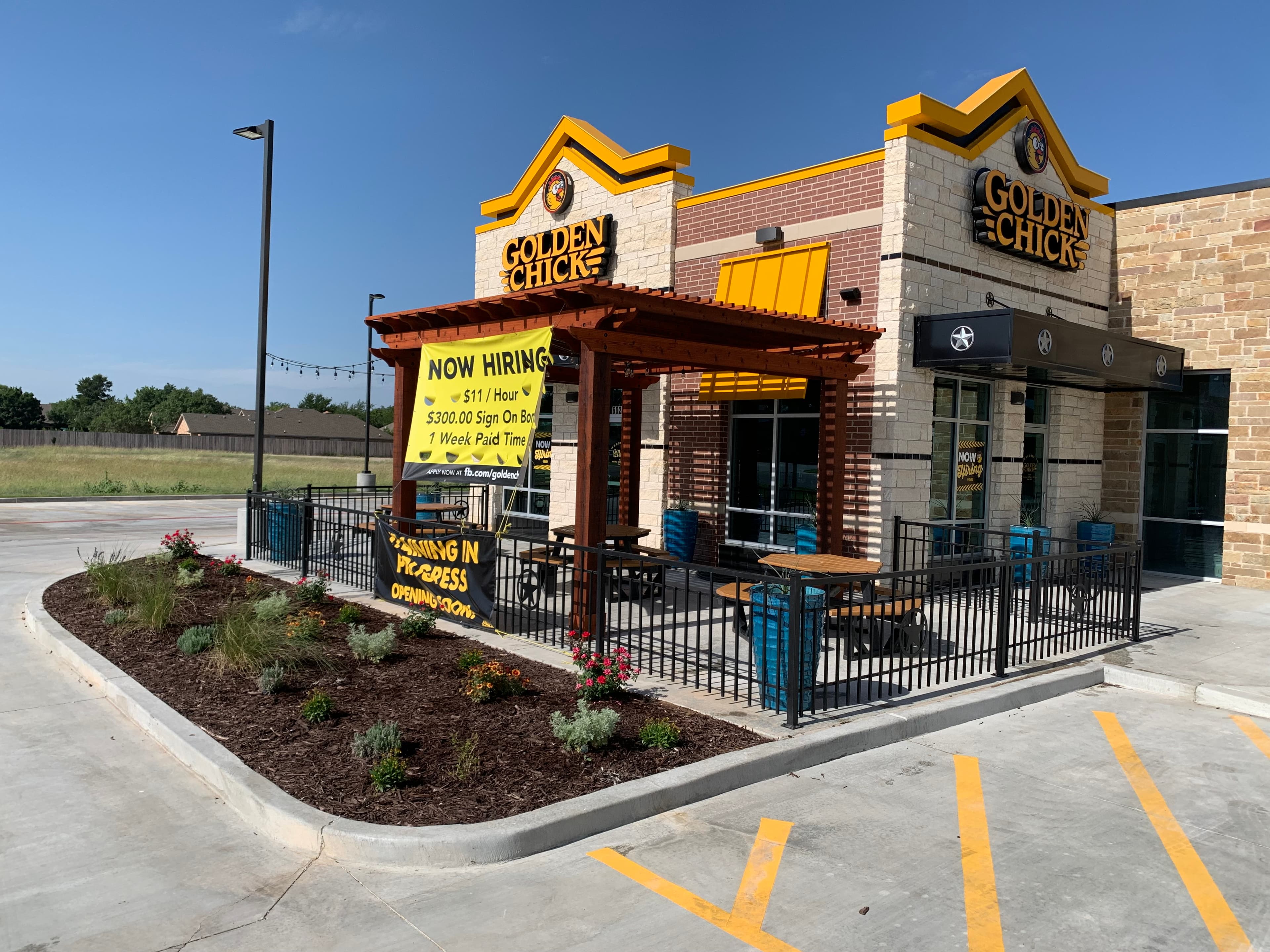 Golden Chick