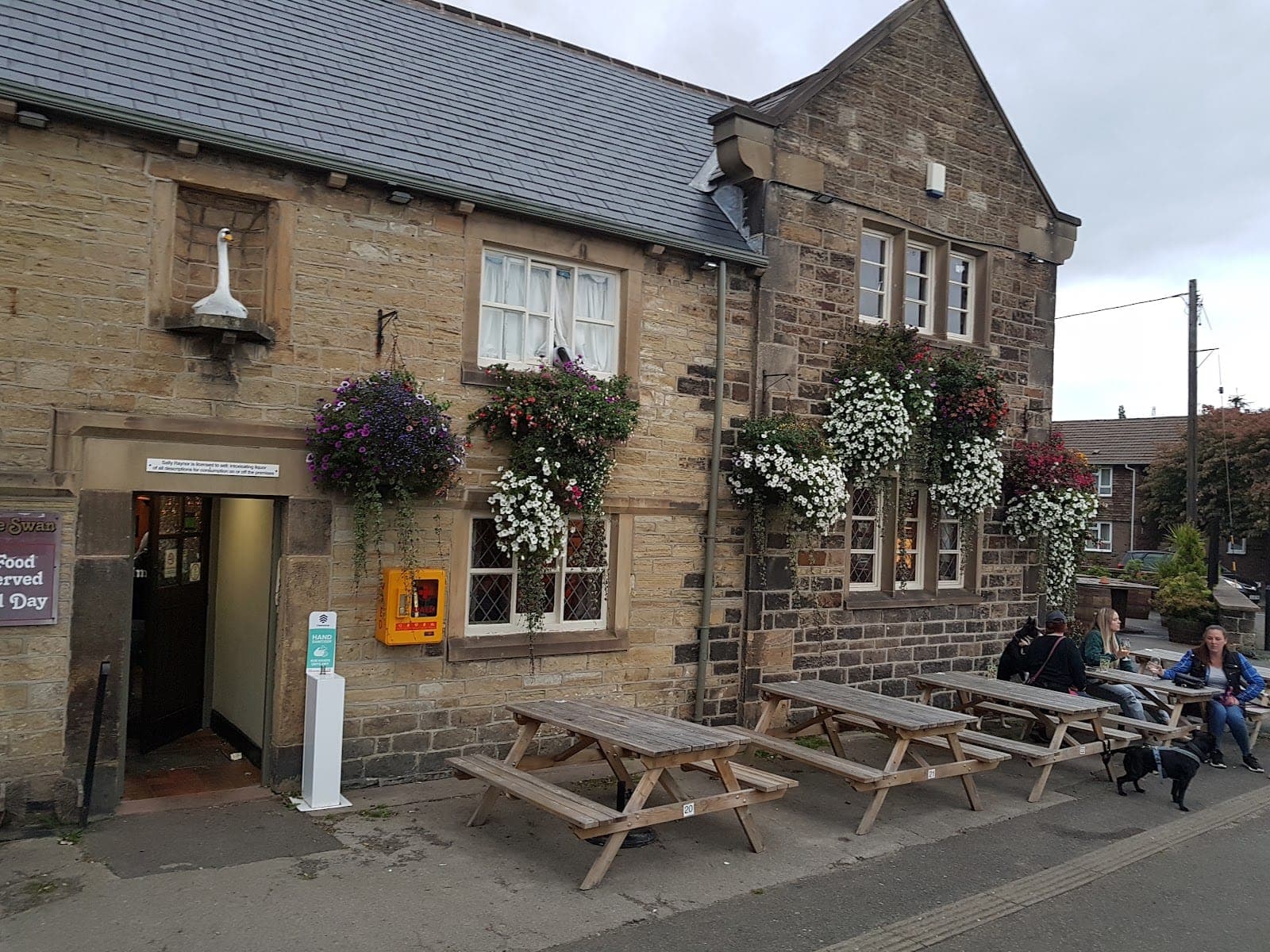 The Swan