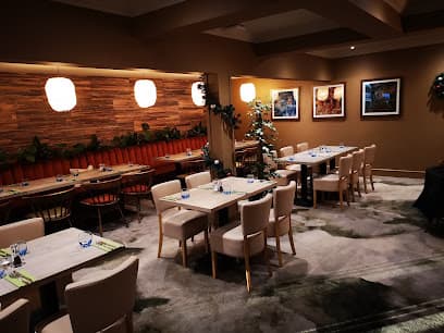 Ego at The Cedar Tree