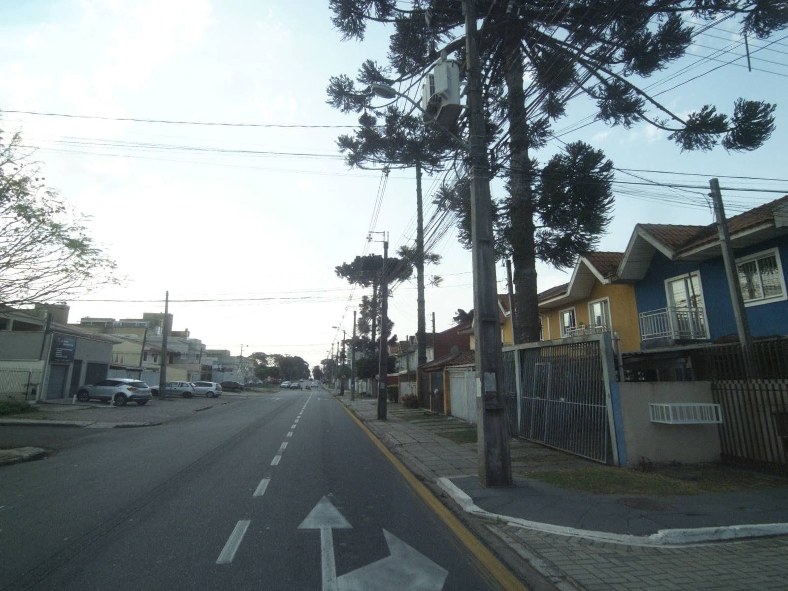 Lupertine