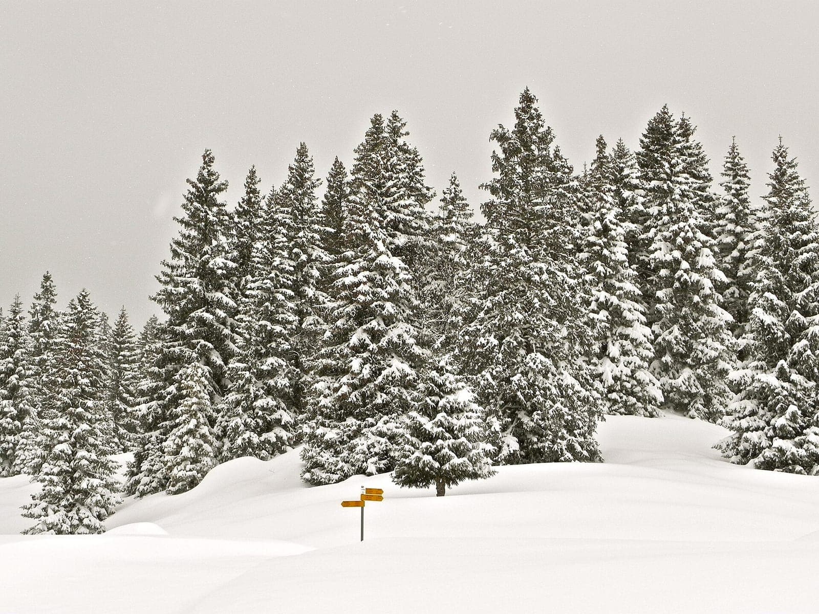 Chalet d'alpage Le Vermeilley