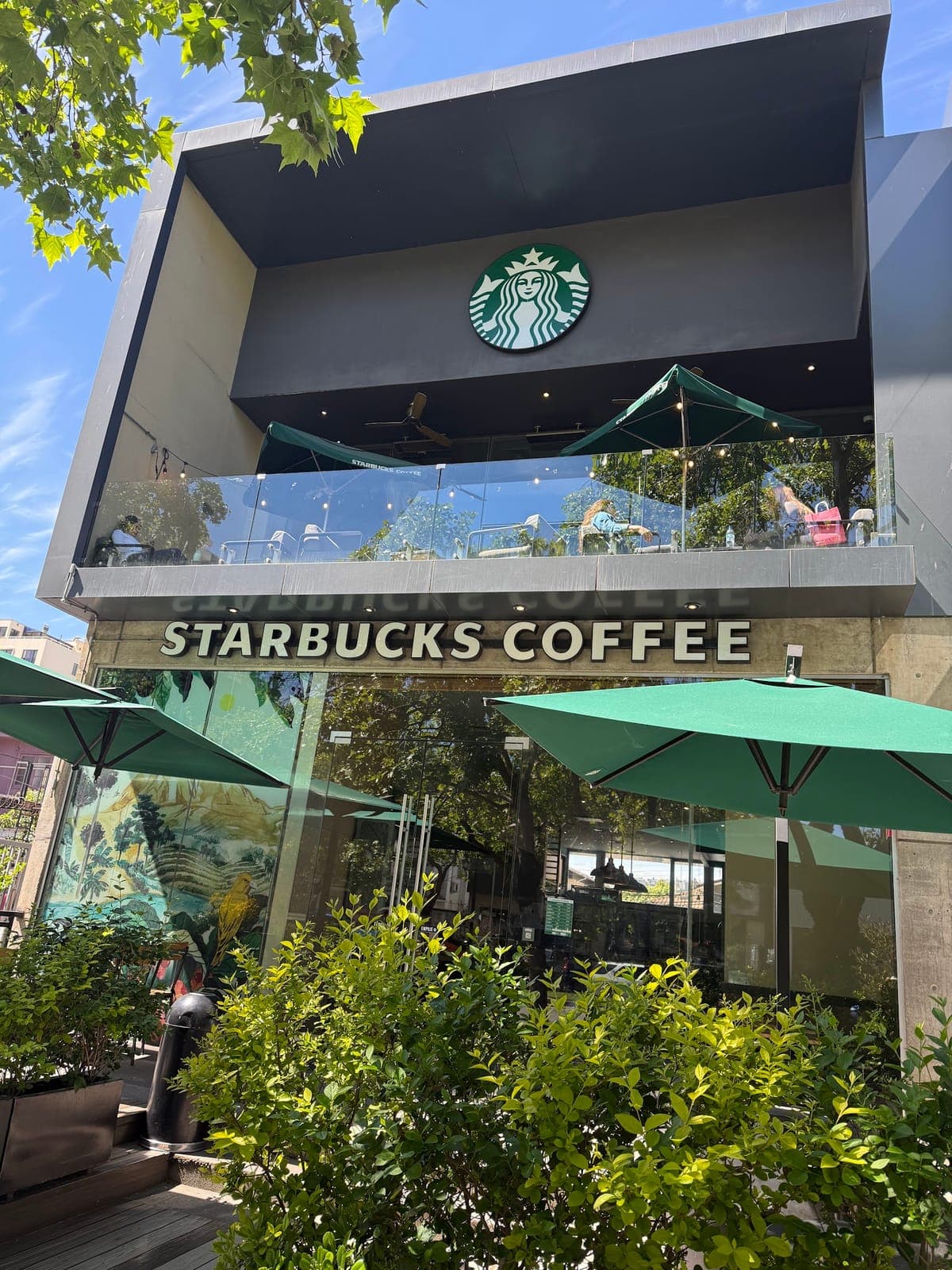 Starbucks photo 1