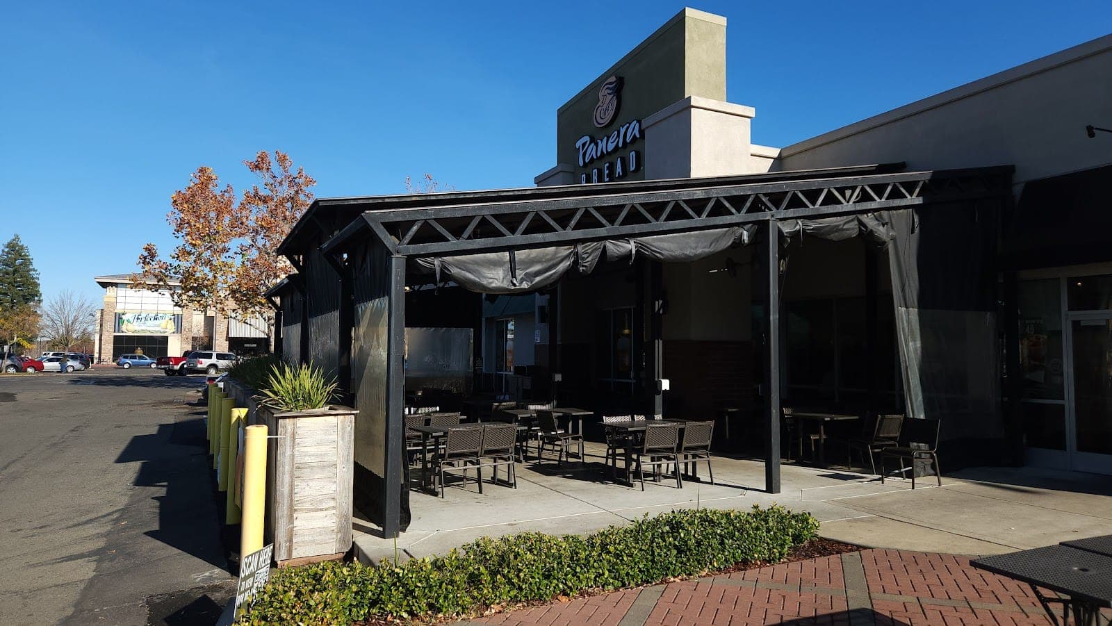 Panera Bread