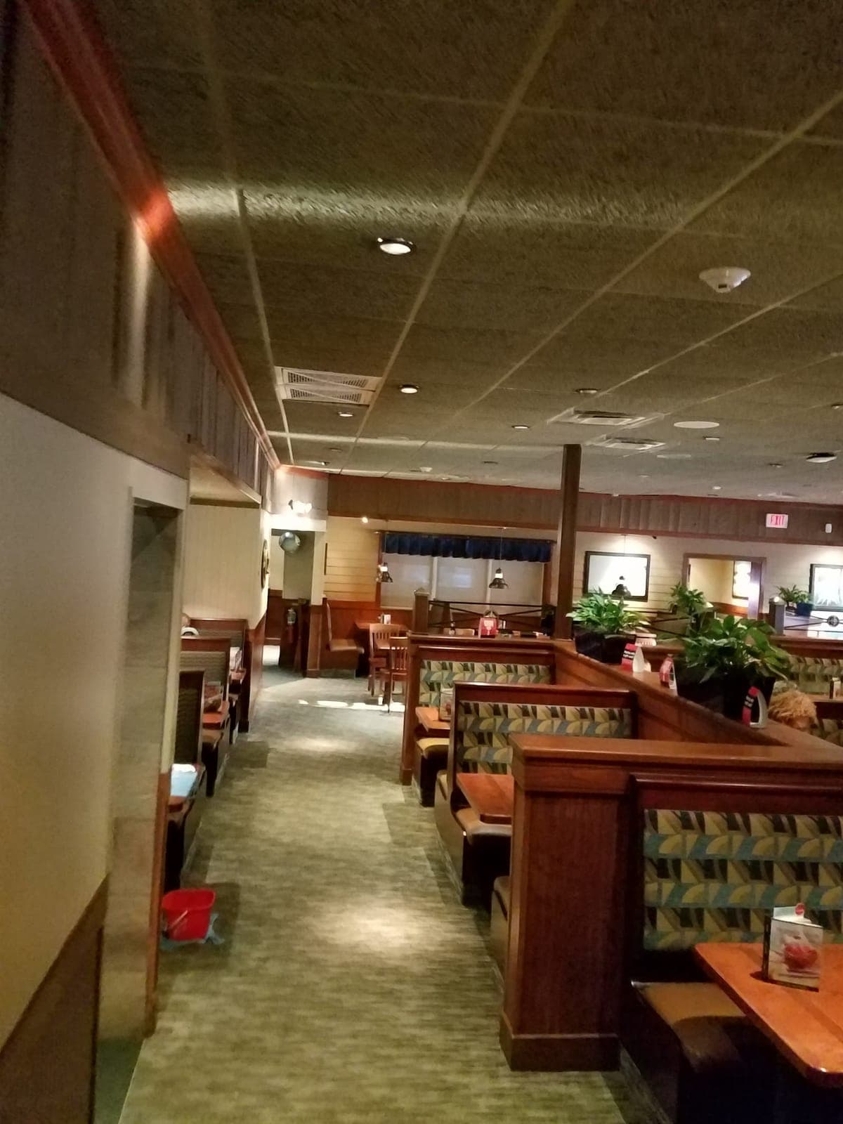 Red Lobster