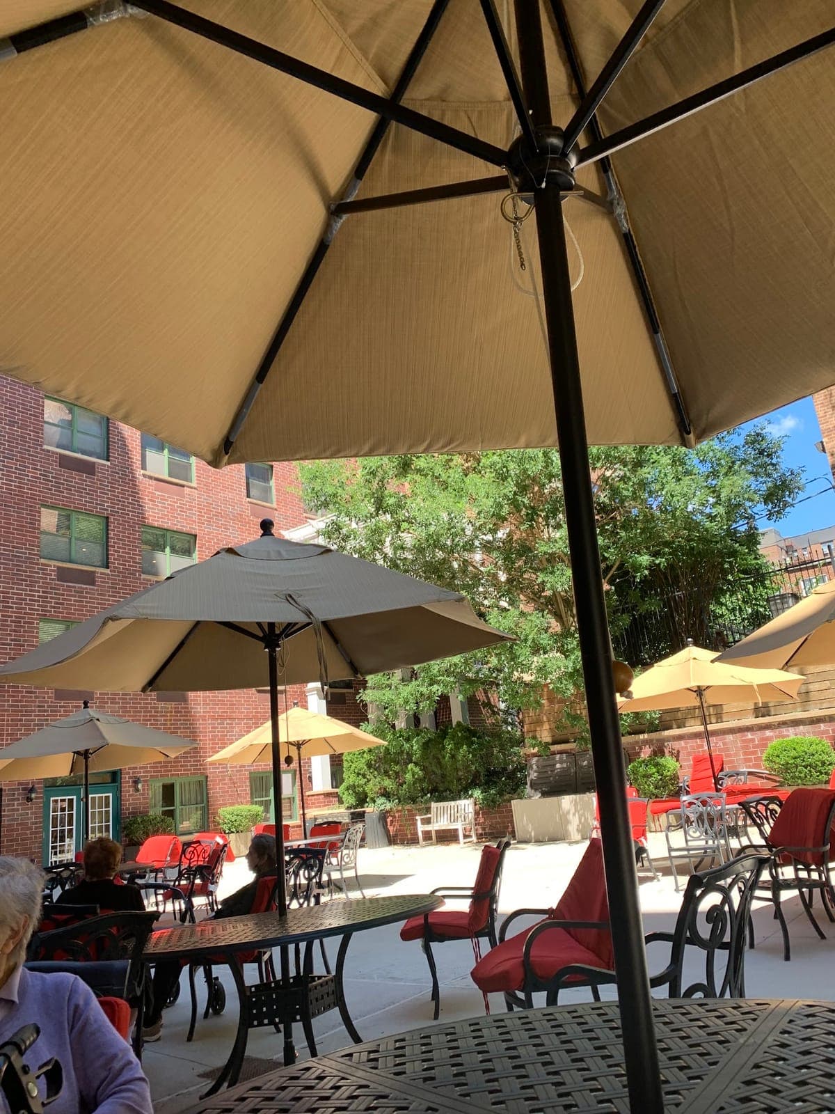 Compadres Mexican Restaurant