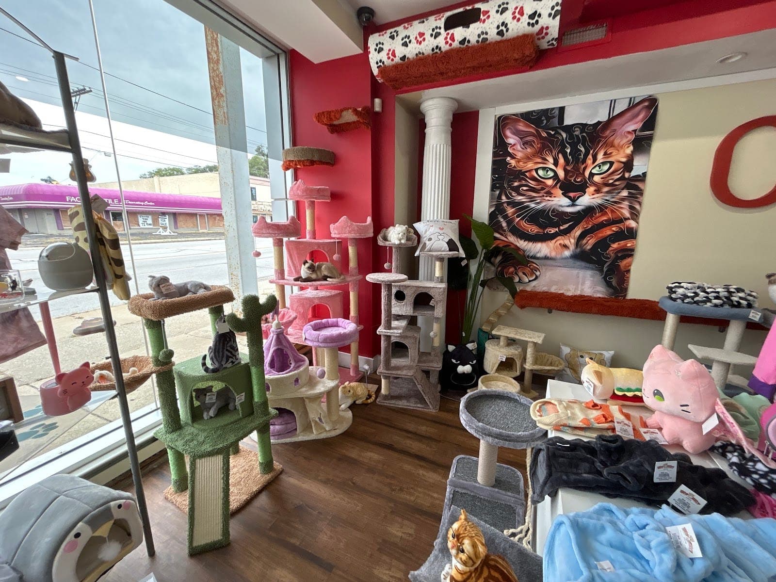 Kitty Citty Shoppe