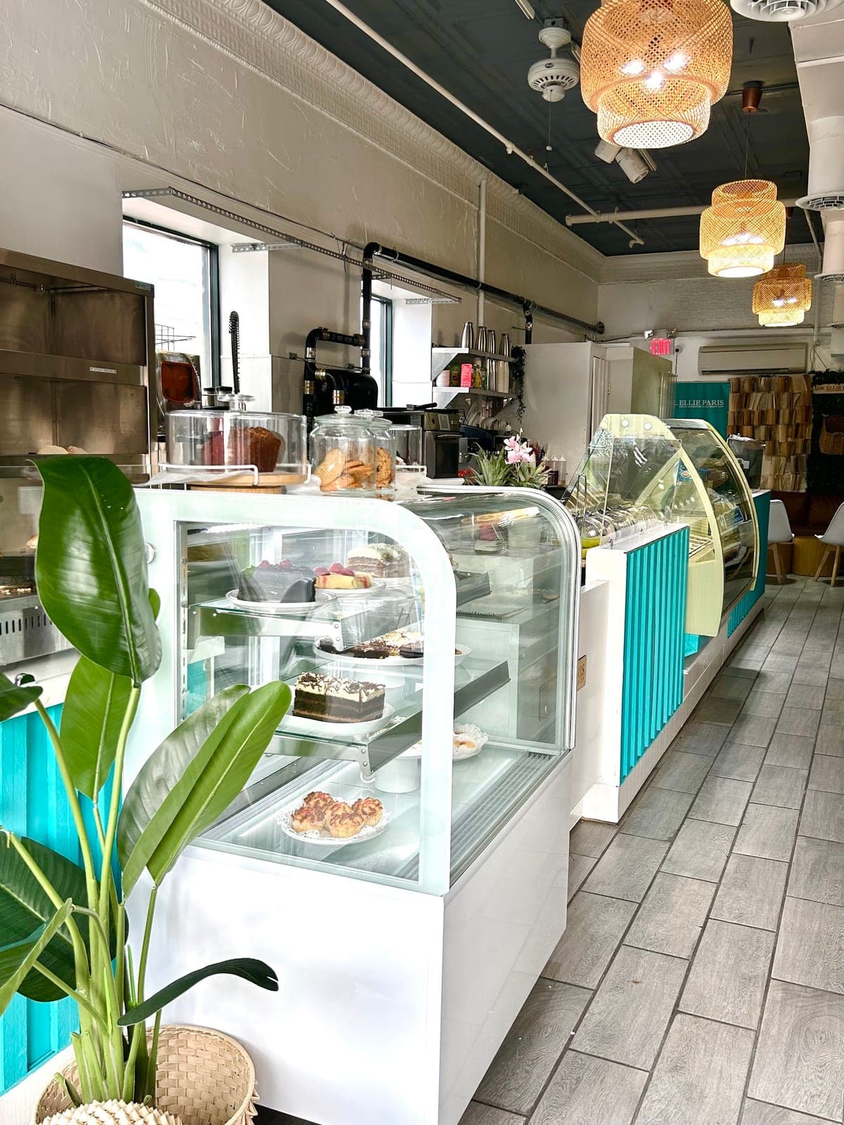 Dr. Ellie Paris Social Bookstore & Ice Cream Cafe
