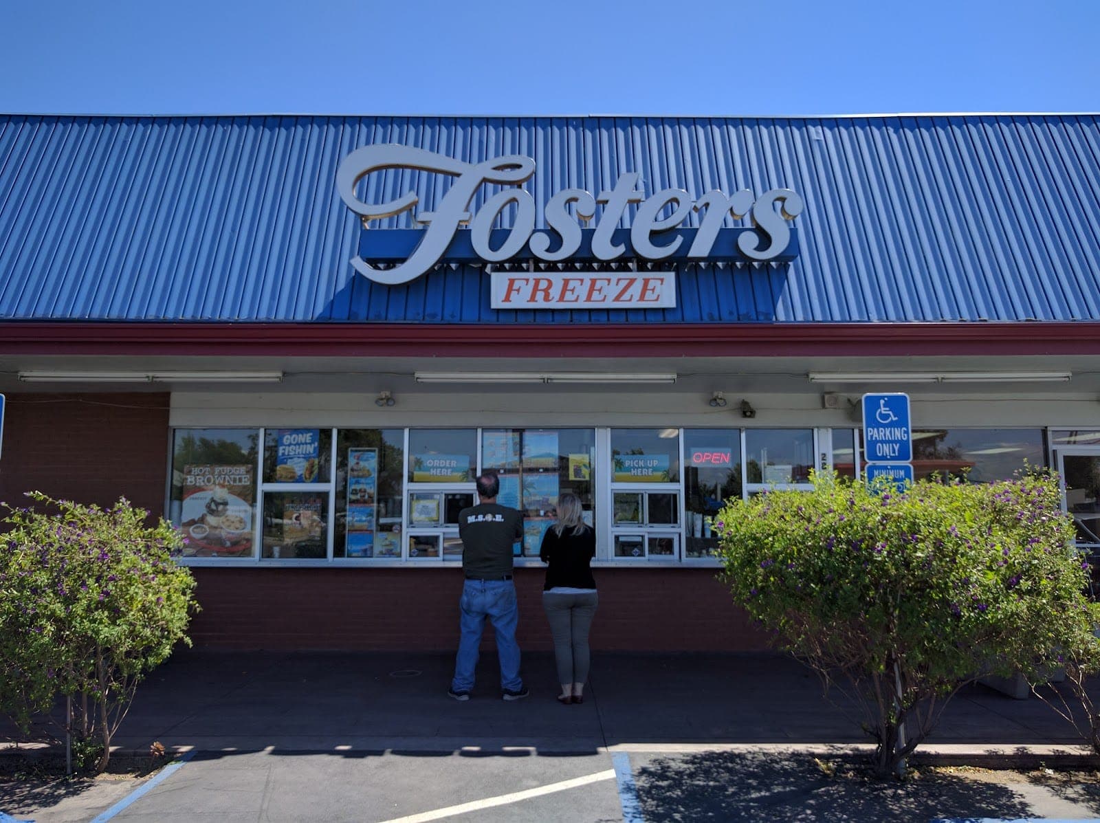 Fosters Freeze