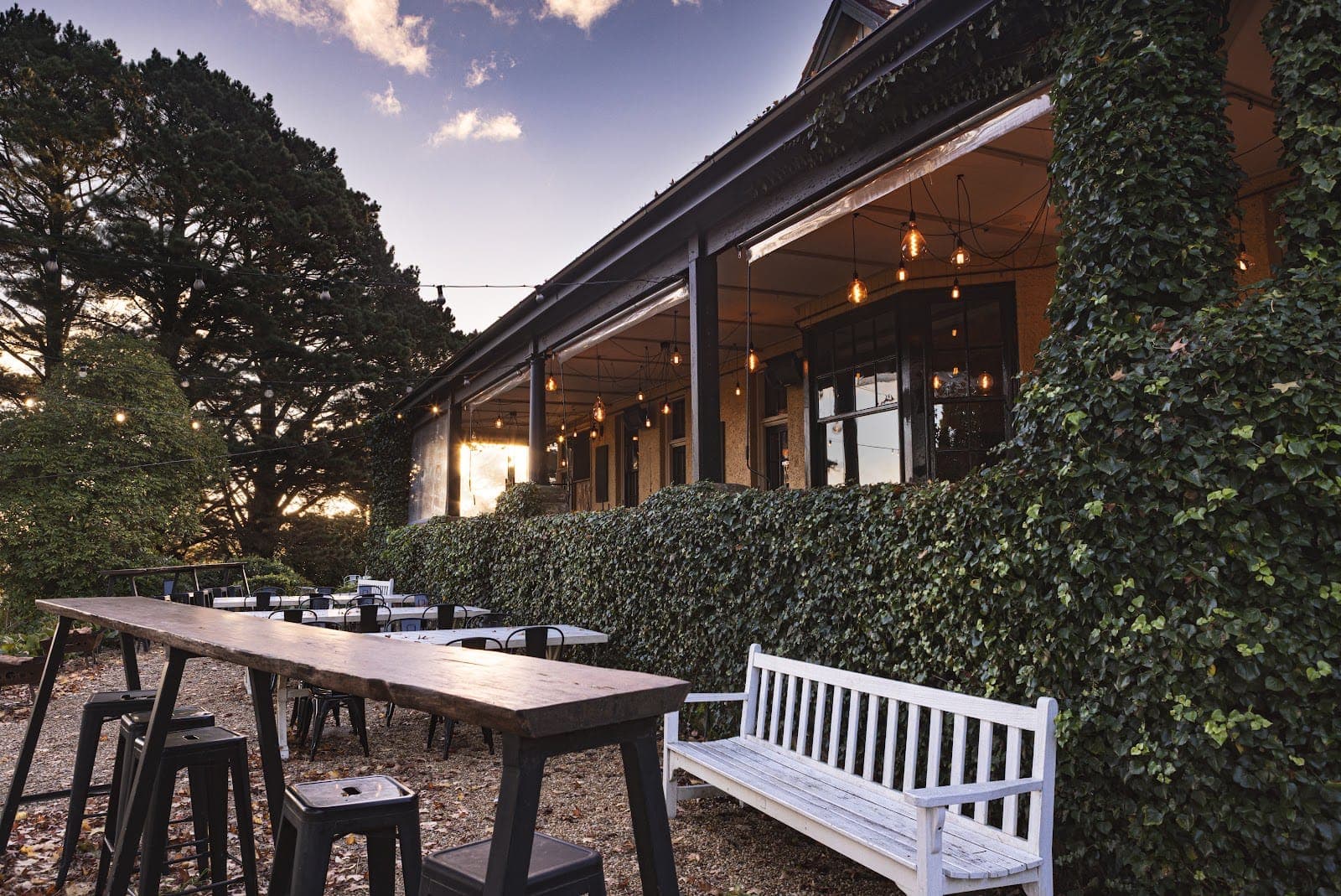 Elysian Bar